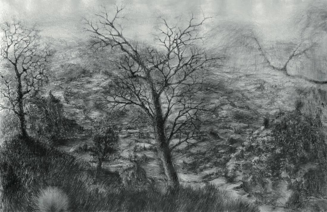 Danse macabre, œuvre 1, Dessin (fusain) sur papier — Emmanuel Billon
