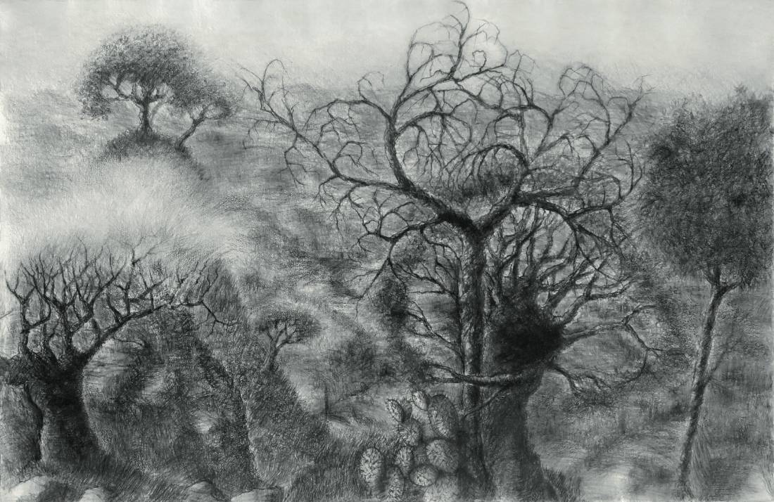 Danse macabre, œuvre 6, Dessin (fusain) sur papier — Emmanuel Billon